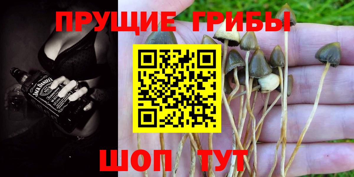 Галлюциногенные грибы Cubensis Ейск