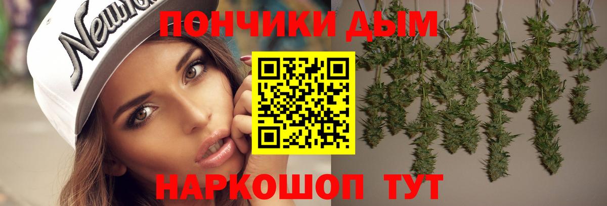 Бошки Шишки гибрид Ейск